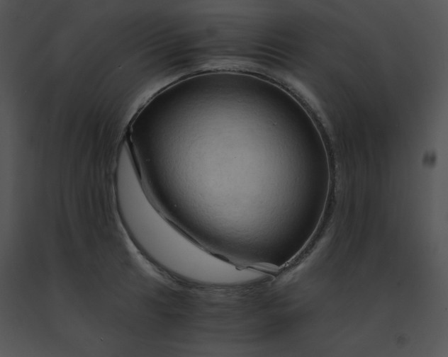 X0000091361041200708311501