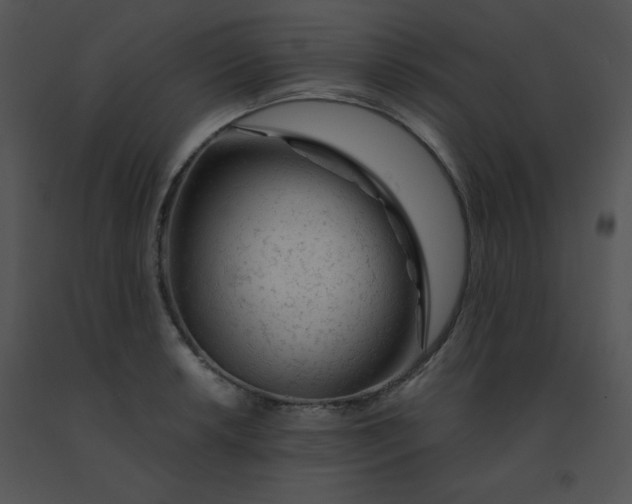 X0000091361042200708311501