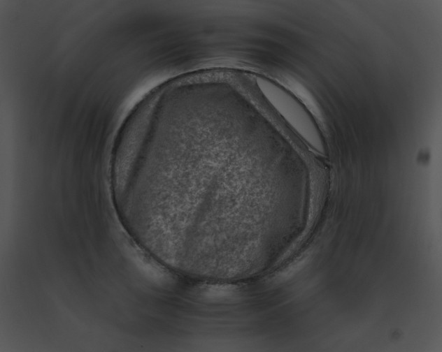 X0000091361043200708311501