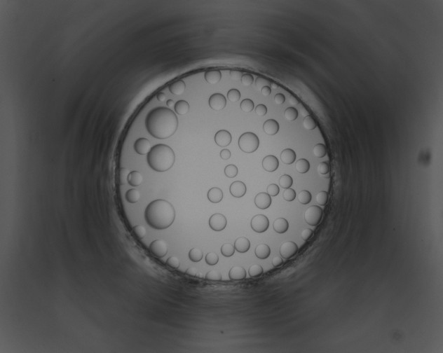 X0000091361044200708311501