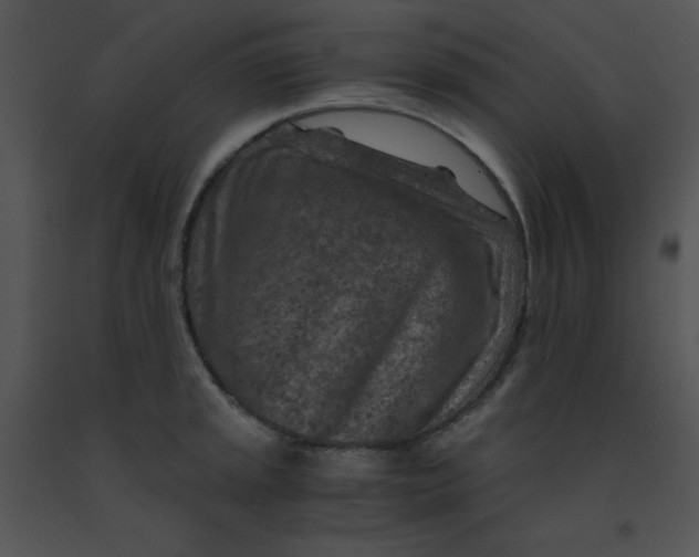 X0000091361045200708311501