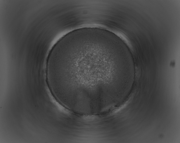 X0000091361046200708311501