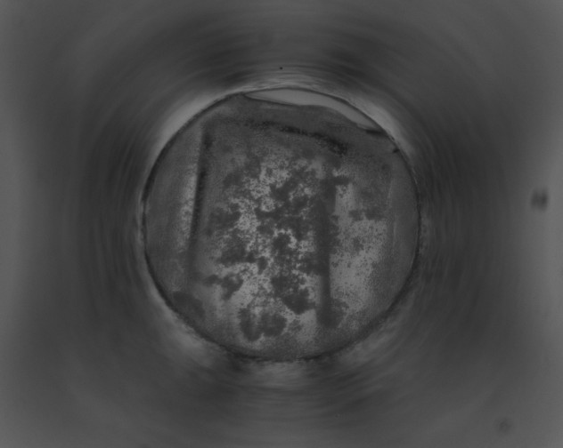 X0000091361047200708311501