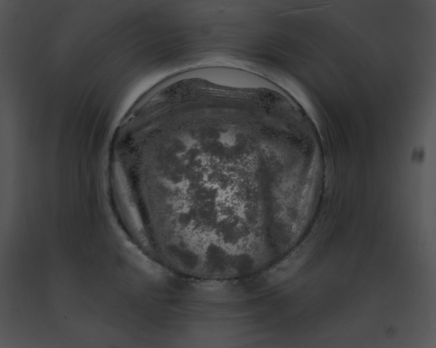 X0000091361048200708311501