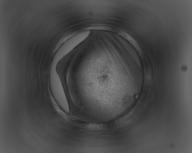 X0000091361049200708311501