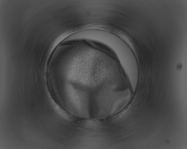 X0000091361050200708311501