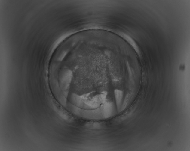 X0000091361051200708311501
