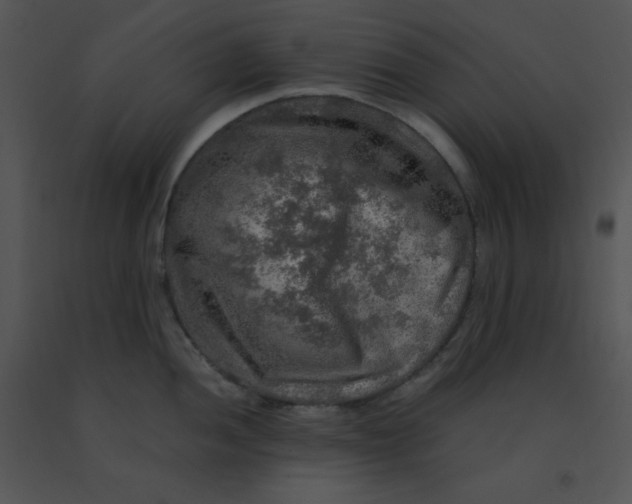 X0000091361052200708311501