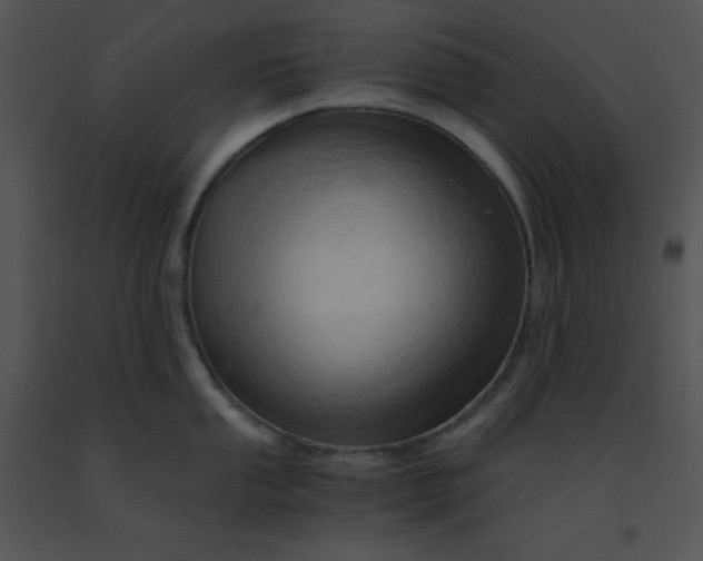 X0000091361053200708311501