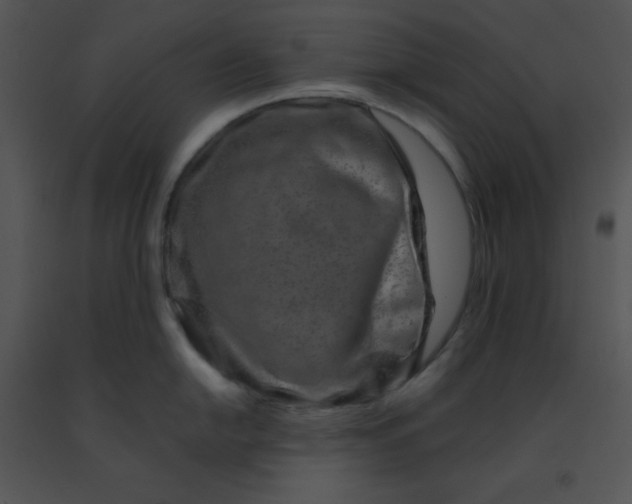 X0000091361054200708311501