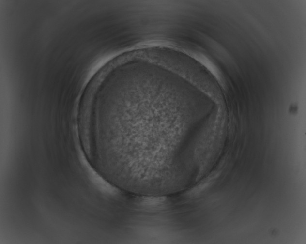 X0000091361055200708311501