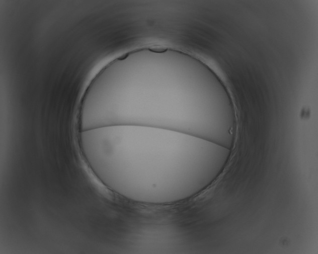 X0000091361056200708311501