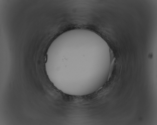 X0000091361057200708311500