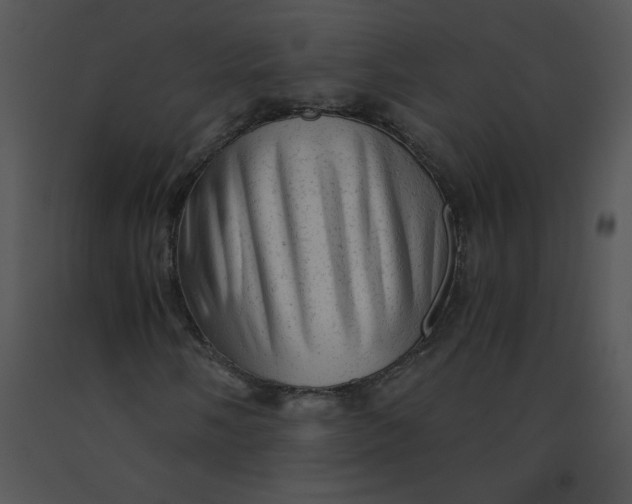 X0000091361058200708311500