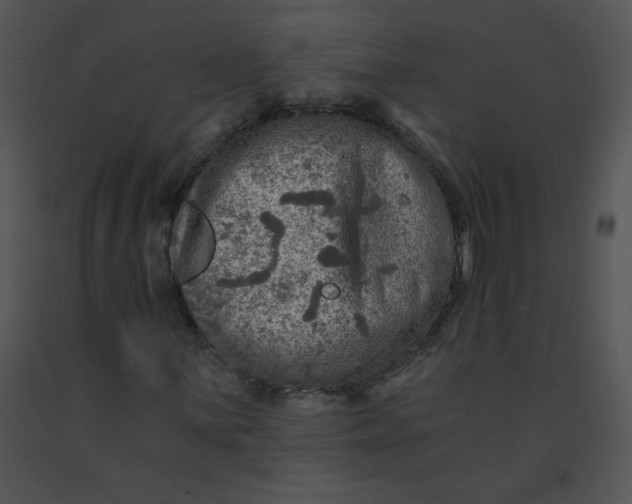 X0000091361059200708311500
