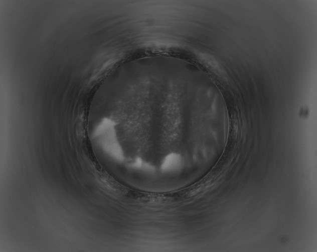 X0000091361060200708311500