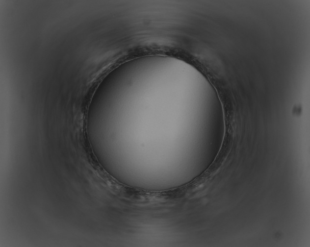 X0000091361061200708311500