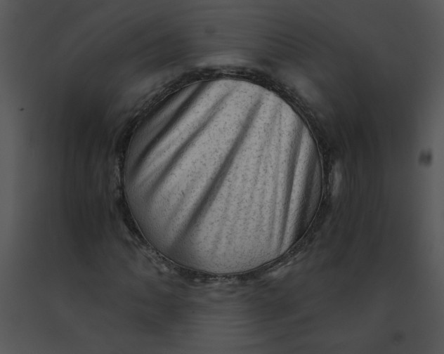 X0000091361062200708311500