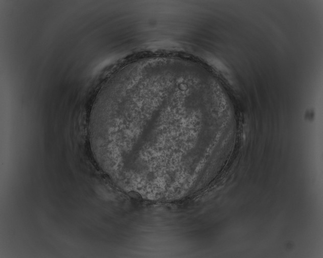 X0000091361063200708311500