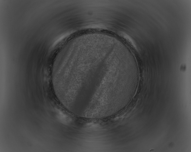 X0000091361064200708311500