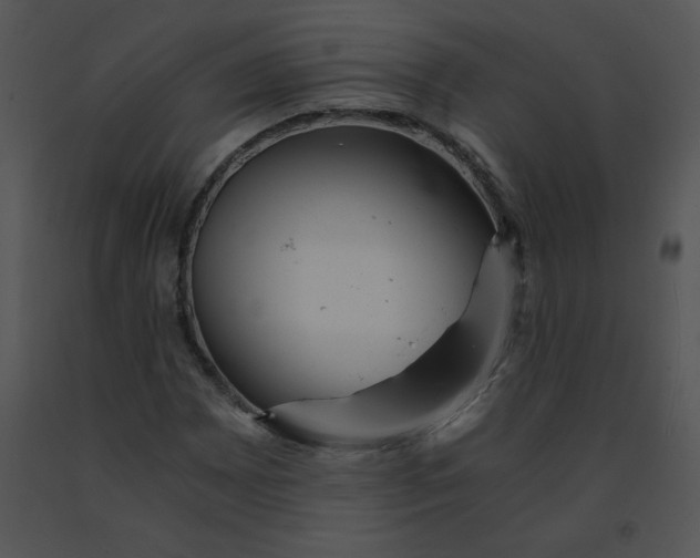 X0000091361065200708311500