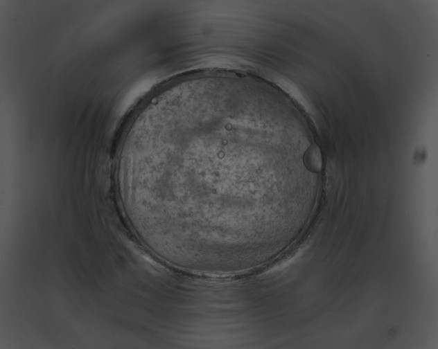 X0000091361067200708311500