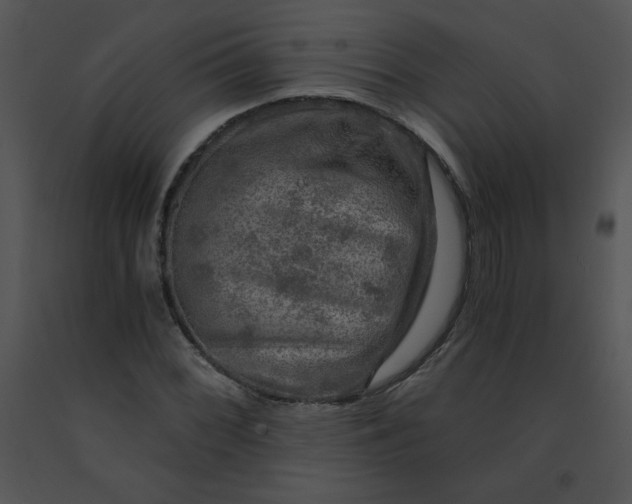 X0000091361068200708311500