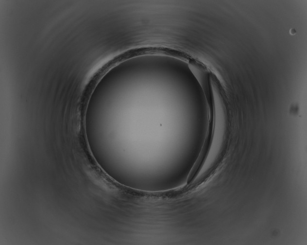 X0000091361069200708311500