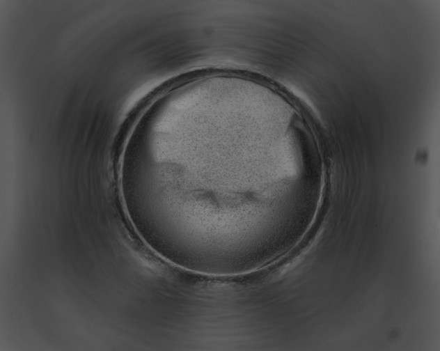 X0000091361070200708311500