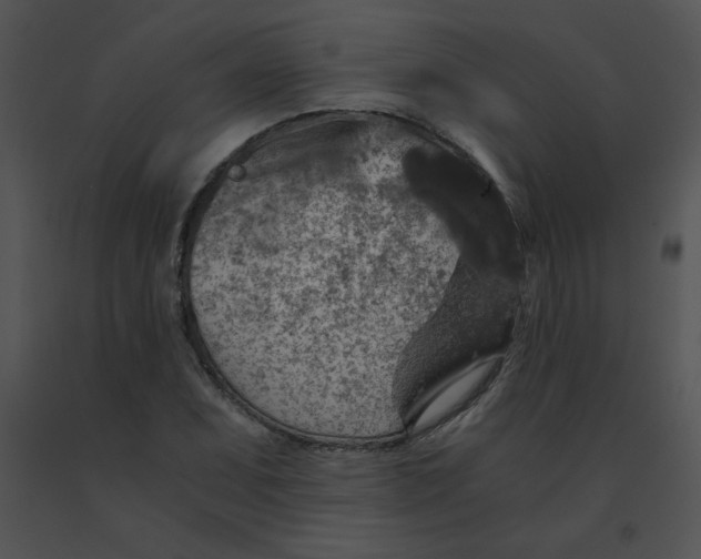 X0000091361071200708311500