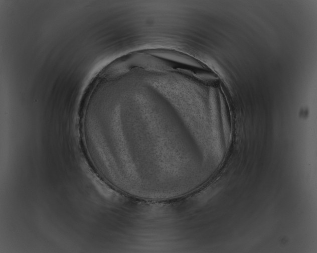 X0000091361072200708311500