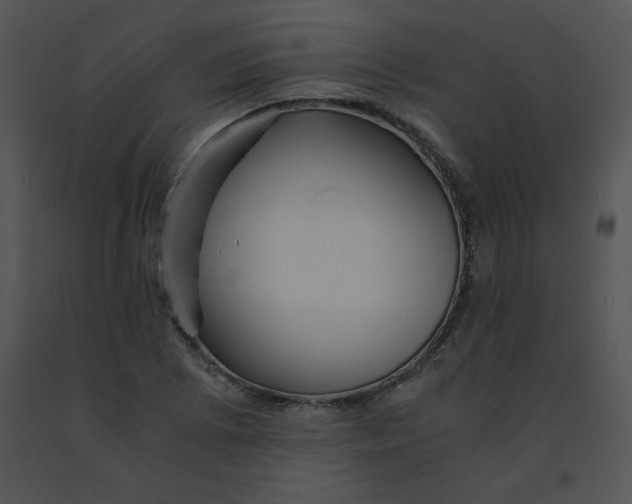 X0000091361073200708311500