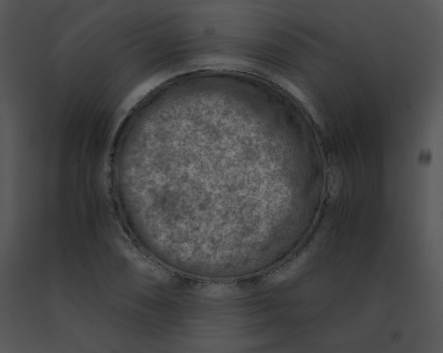 X0000091361074200708311500