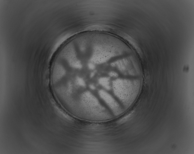 X0000091361075200708311500