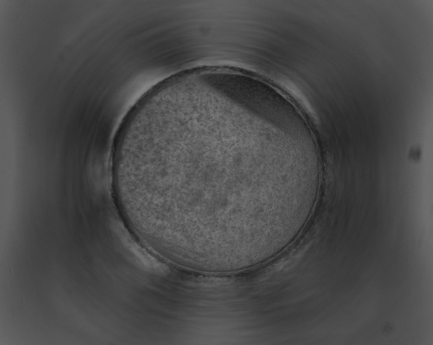 X0000091361076200708311500