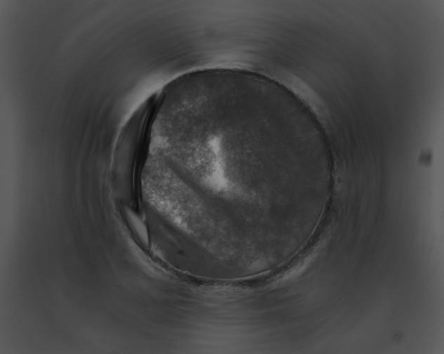 X0000091361077200708311500