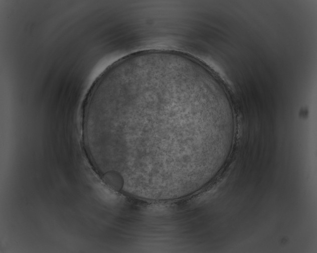 X0000091361078200708311500