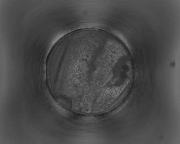 X0000091361079200708311500