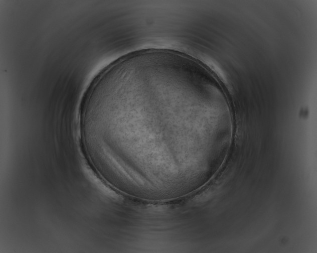 X0000091361080200708311500