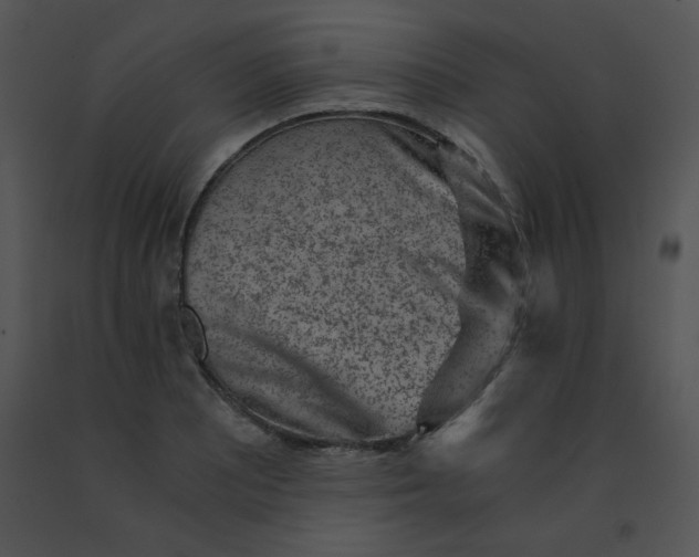 X0000091361081200708311500