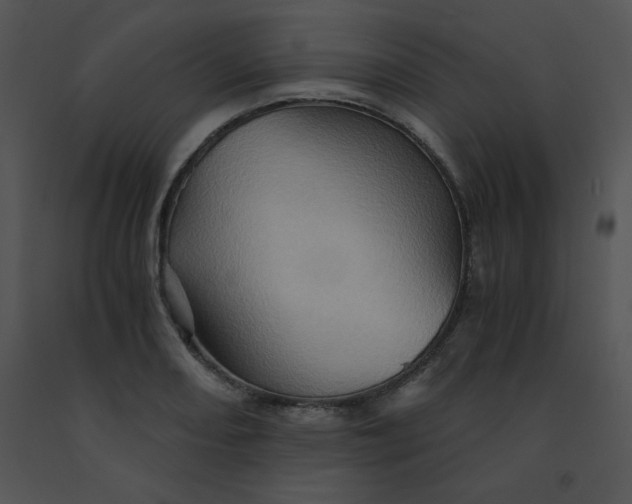 X0000091361082200708311500