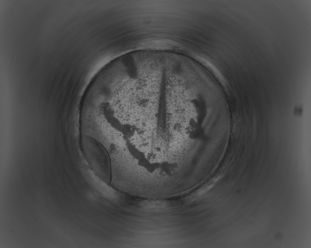 X0000091361083200708311500