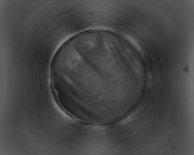 X0000091361084200708311500
