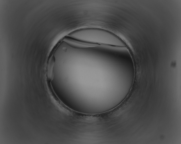 X0000091361085200708311500