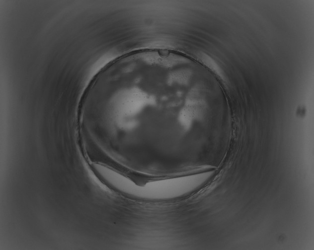 X0000091361087200708311500