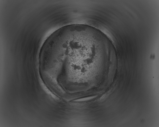 X0000091361088200708311500