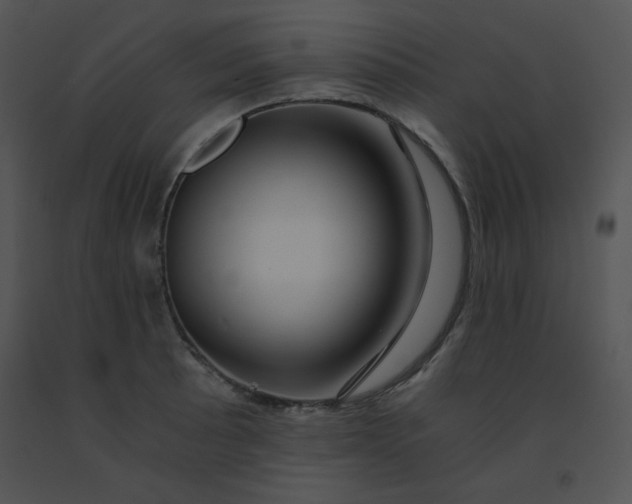 X0000091361089200708311500