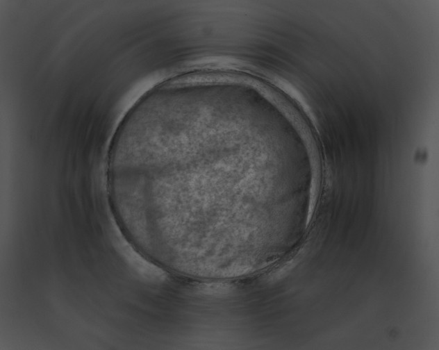 X0000091361090200708311500