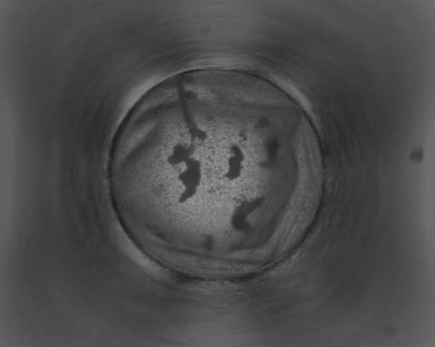 X0000091361091200708311500