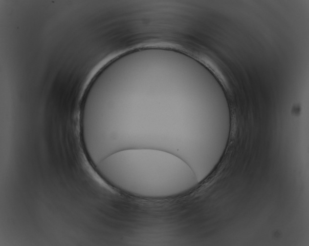 X0000091361092200708311459